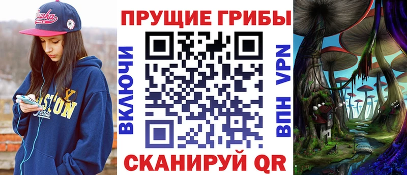 Купить  Воркута  Псилоцибиновые грибы Magic Shrooms 